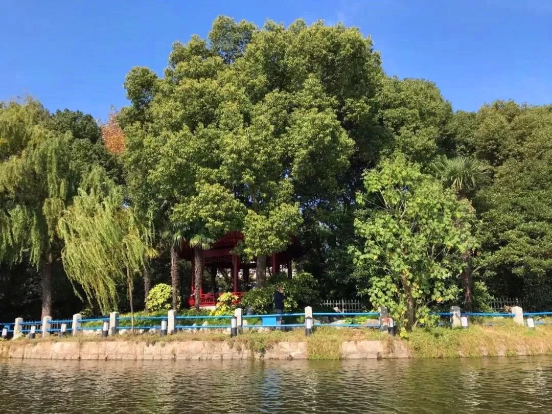 舌尖之上，脚尖之下|3号线沿线居然这么好逛？