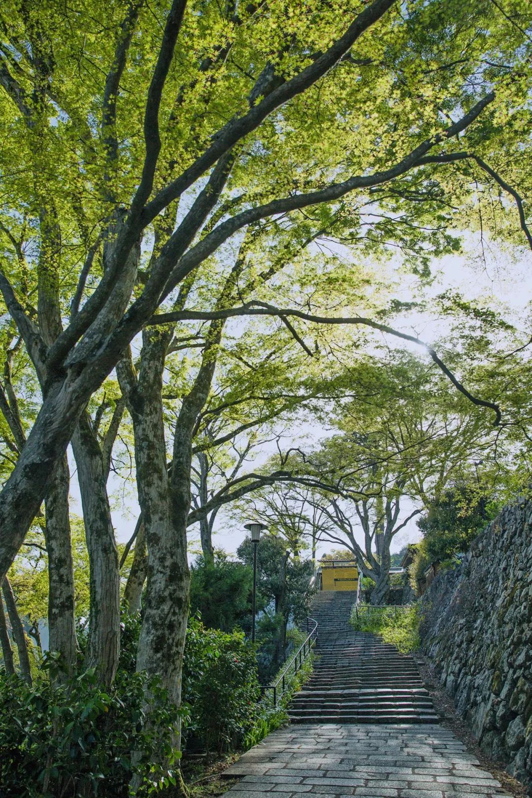 大阪|你错过了这座带仙气儿的寺庙,以及跳蚤市场和潮牌一条街…