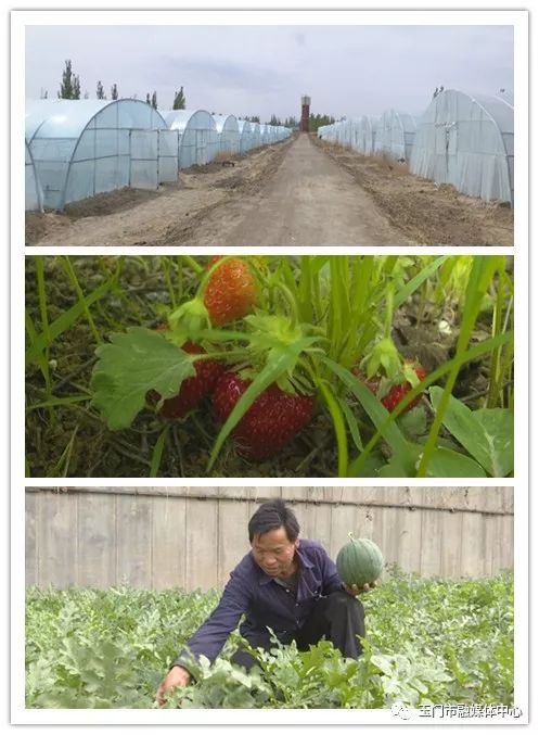 澹附70骞村鏂楁柊鏃朵唬瀹佸鍥哄師,澹附70骞村鏂楁柊鏃朵唬鍙戝睍缁艰堪