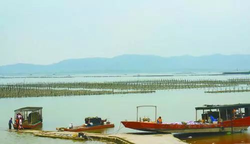 深入基层扶贫助民脱贫,深入基层践行四力