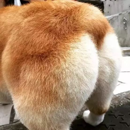 朋友圈设成三天可见代表着什么,有时候把朋友圈设成三天可见