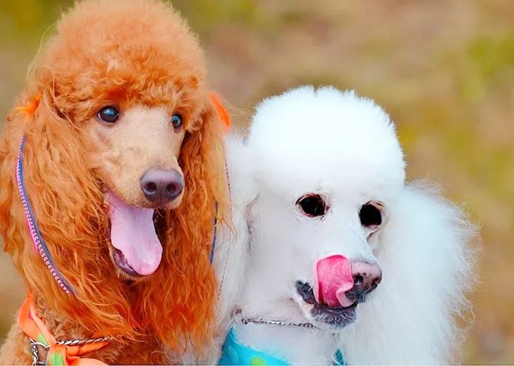 把我设置成不可见了是什么心态,为什么有人把朋友圈设成三天可见