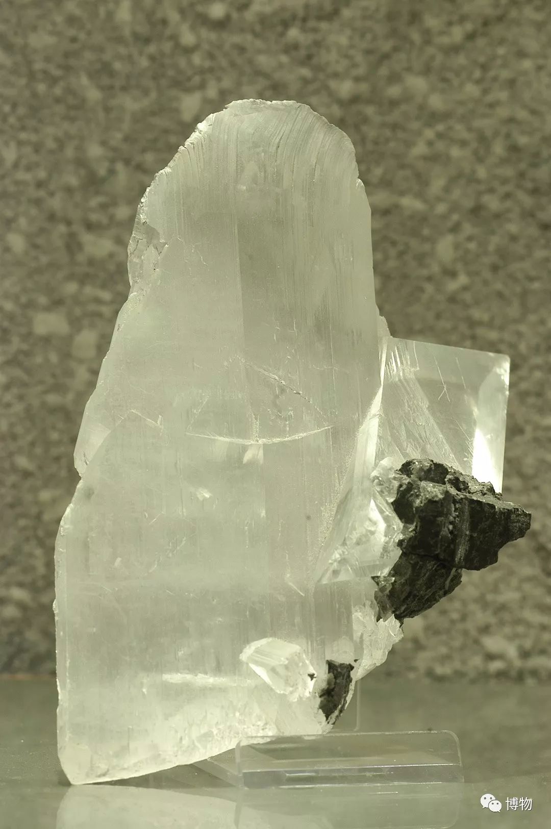 脑子进水了后悔不,脑子进水了掉井里