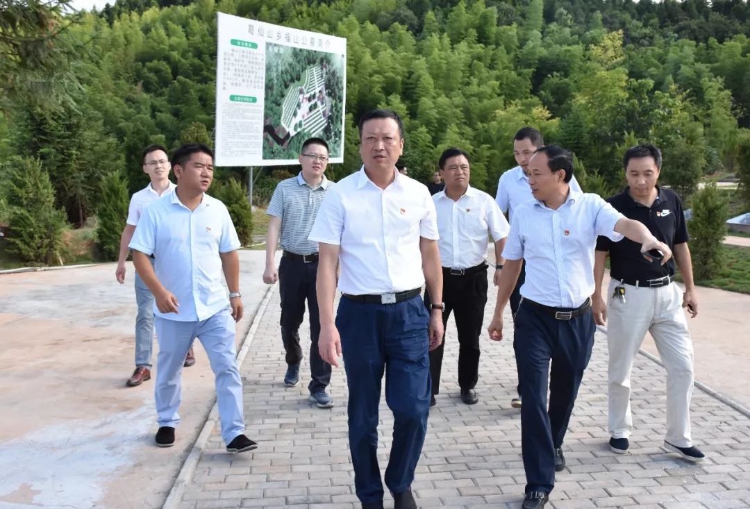 绿色殡葬初显成效,江西绿色殡葬改革文件