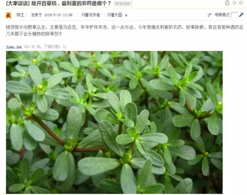 有人问有比百草枯更厉害的农药吗？网友们的评论炸了锅……那么好吃放着我来