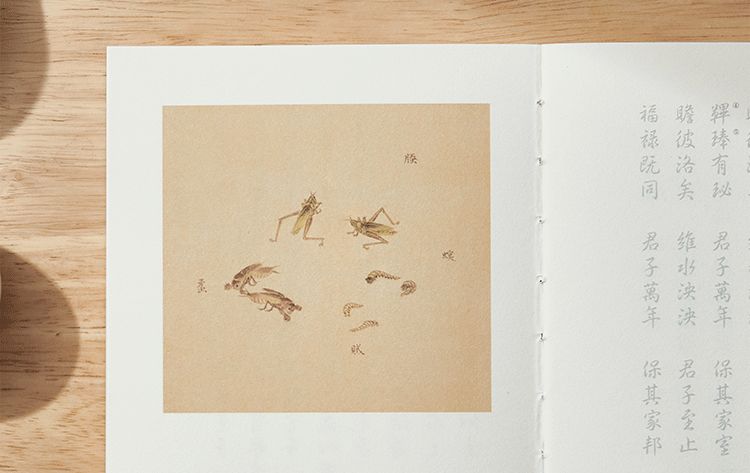 诗经中最唯美的文字,诗经的美才是真的美