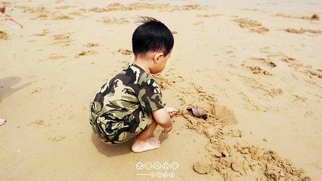 日照天气,日照房价