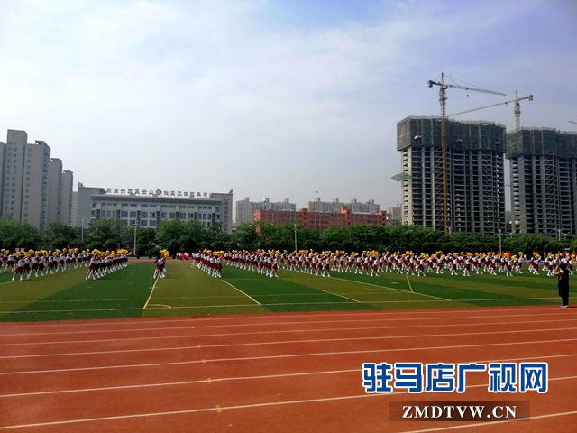 驻马店市第五届市长杯,驻马店校园足球联赛官网