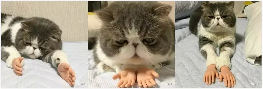 智力挑战闭上眼睛,智力挑战方法