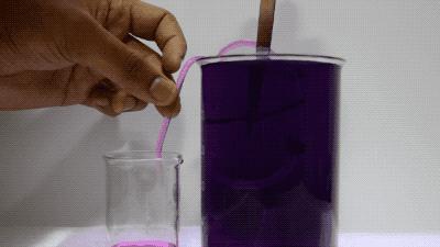 鍠濅笉鍒版按鐨勫惛绠＄瀛﹀皬瀹為獙,鏅哄姏浣庝笅鍎跨鎬庝箞缁冧範鍚哥鍠濇按