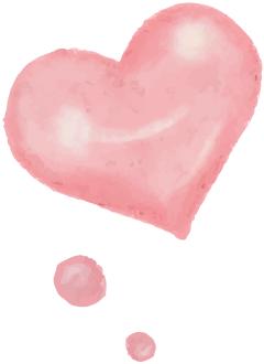 粉丝提问｜小茂说推荐了那么多产品，双十一我到底该买哪个？