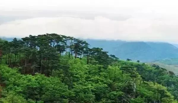 玩转大连森林公园,逛遍大连森林公园