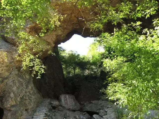 玩转大连森林公园,逛遍大连森林公园