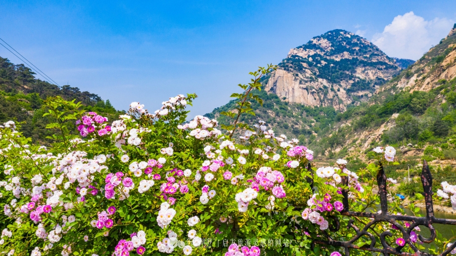 山东莱芜香山鸟语花香,莱芜景点香山
