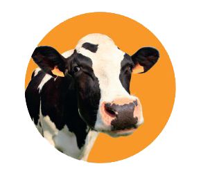 新型智能流量计,创新智能流量计