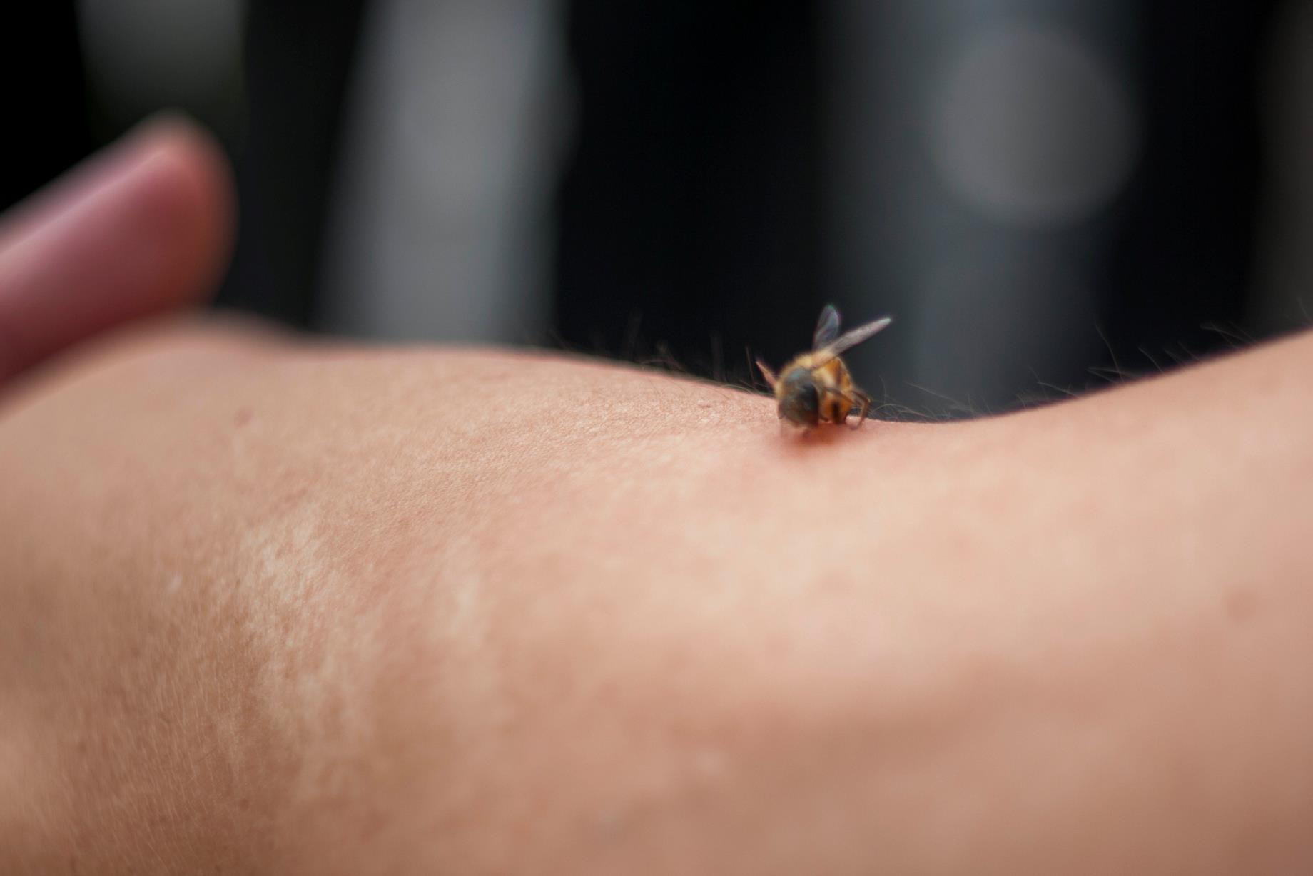 蜂蜜如何用火烧分辨真假,怎么分辨真假蜂蜜视频