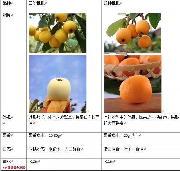 皮薄鲜甜多汁！去年卖爆的塘栖枇杷又来了，顺丰到家！