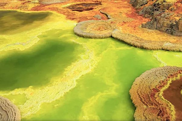 可美金箔祛痘螨虫皂,除螨皂能祛螨虫吗