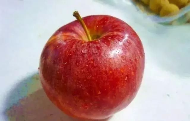 苹果批发一斤挣多少,苹果批发价格会涨吗