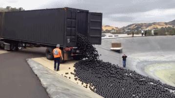 9600万个塑料球被扔进水库，竟是为了给水解毒？！