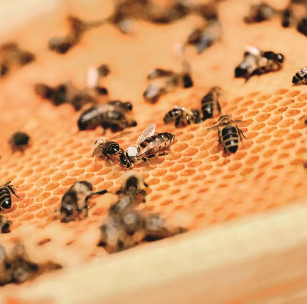 今年520你打算和谁一起过,今年的520你想和谁过