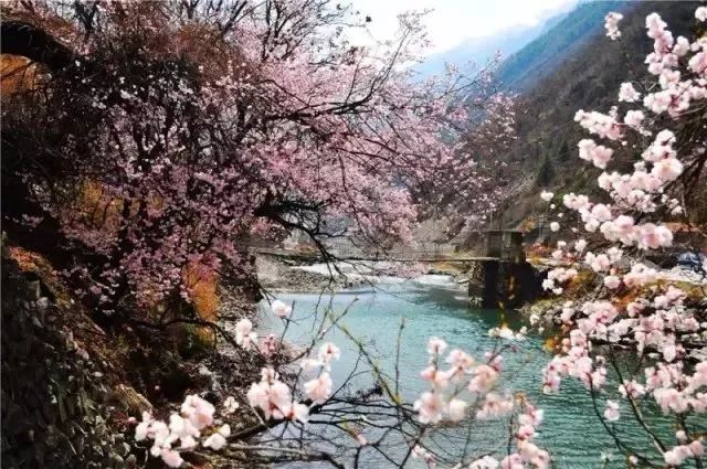 当四川人和重庆人见面,当四川人相遇