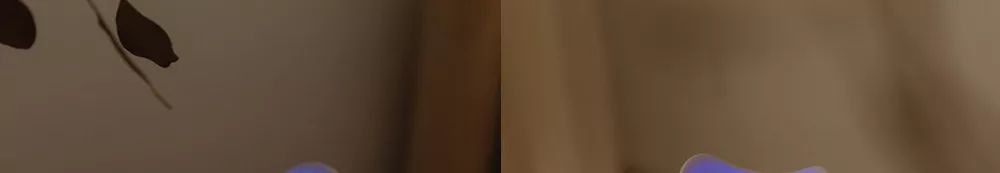 驱蚊神器灭蚊灯静音无辐射,灭蚊灯是根据什么原理灭蚊的