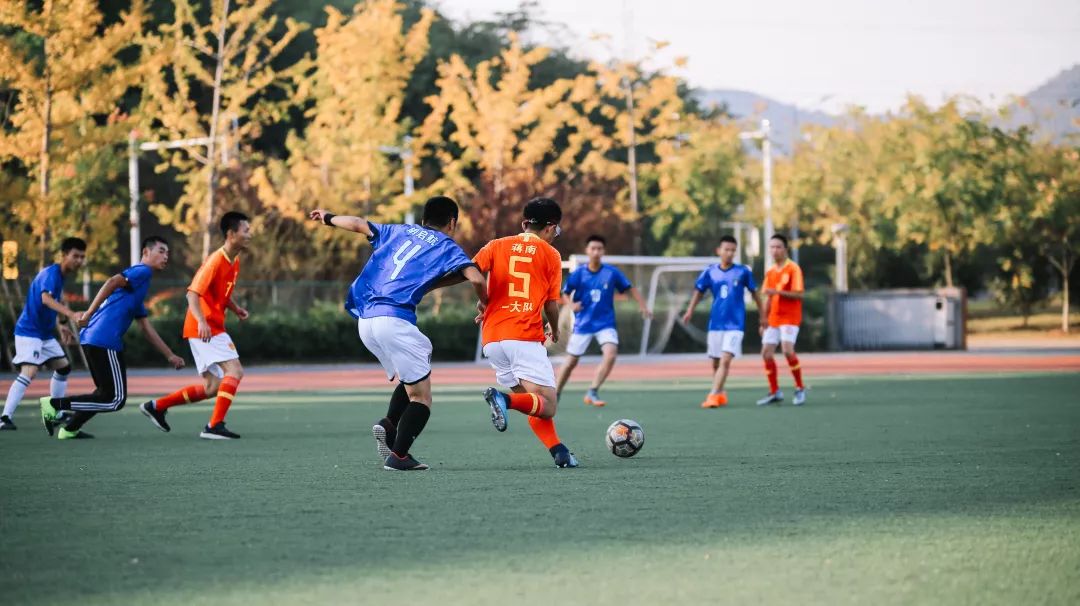 江苏警官学院录取分数线2021,江苏警官学院2009年录取分数线