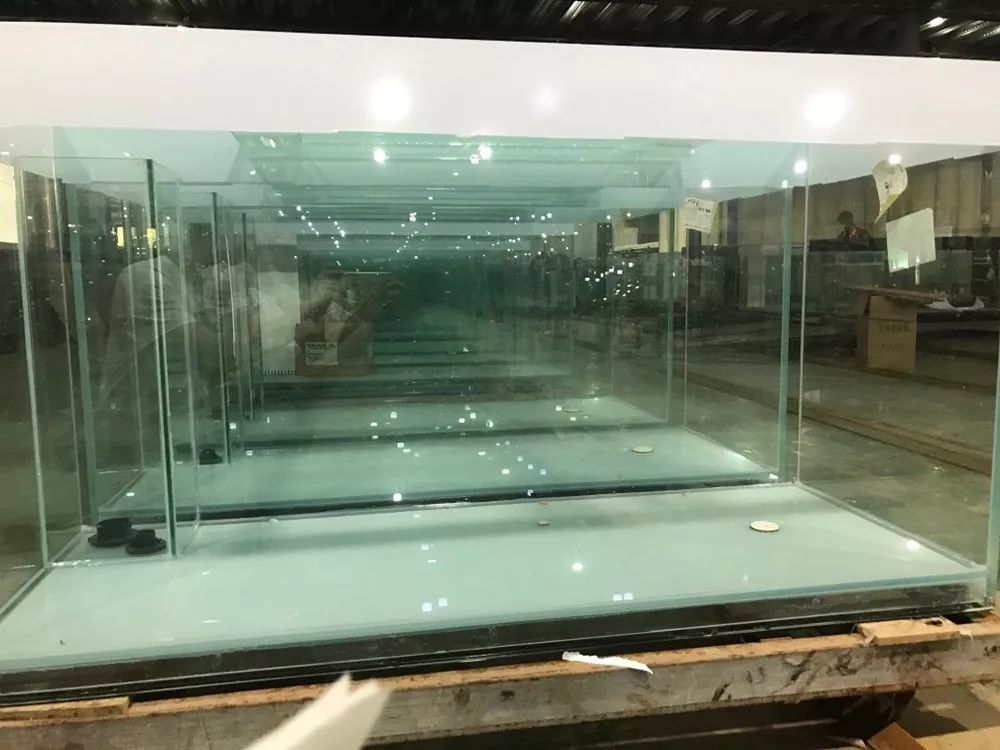 鱼缸生产制造过程,探秘jellycat工厂