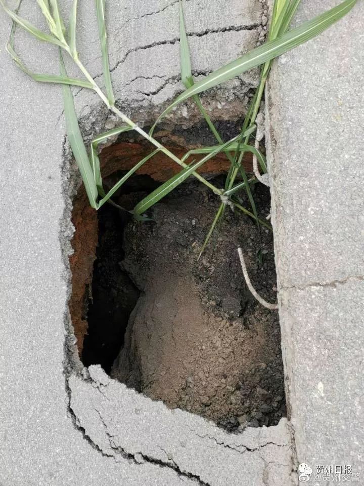 八步区最坑的路,八步区坑人的路口