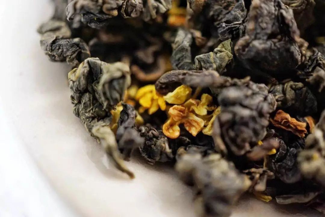 五月种草,五月种草长沙