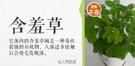 碰一下就会中毒的物质有哪些,毒物碰一下就中毒