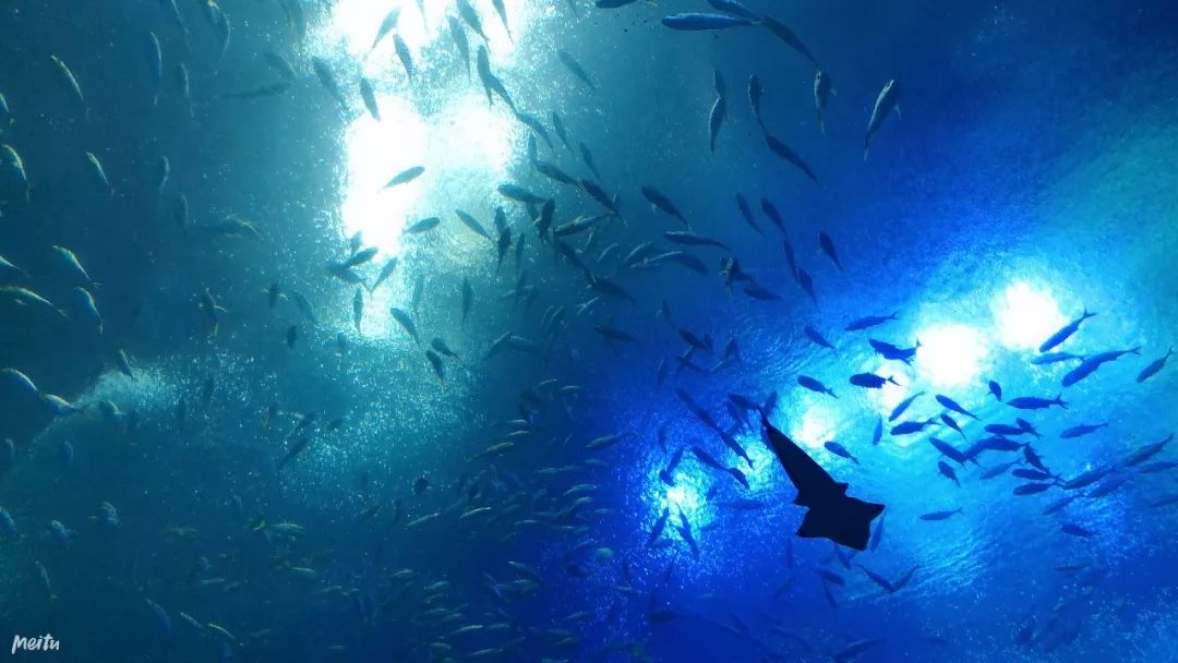 夏天哪个海岛最凉快,高温天气适合去哪旅游