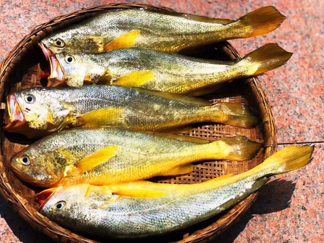 渔家女朋友圈直播,渔家女海鲜直播