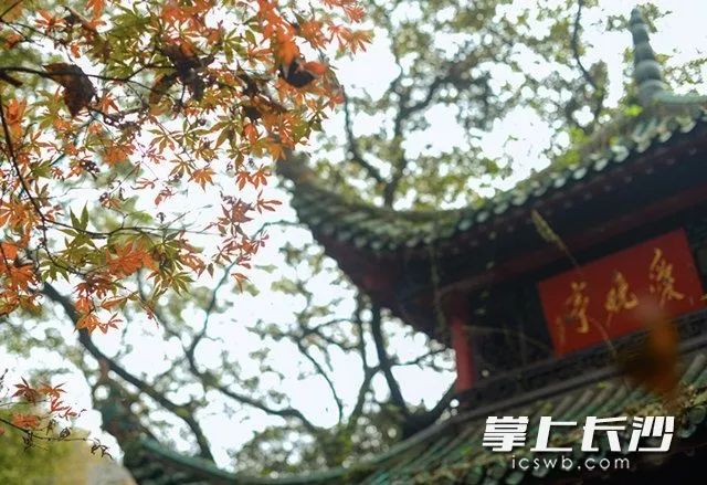 长沙4号线附近好逛好玩的地方,长沙周边旅游景点100公里以内的