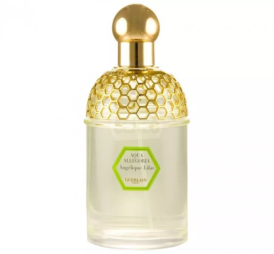 寻香|还原派VS颠覆派？诶呦~想不到这花还有两副面孔！（上）