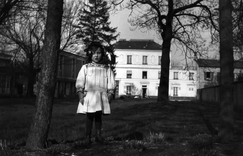 路易斯·布尔乔亚,路易斯布尔乔亚作品元素