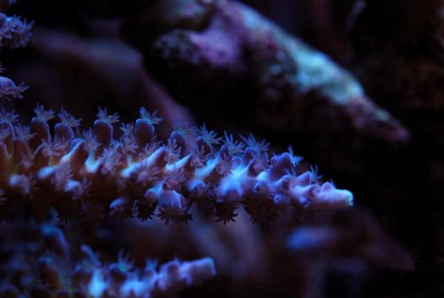 鉴定完毕就是好人吗,鉴定完毕就是亲生的没错了