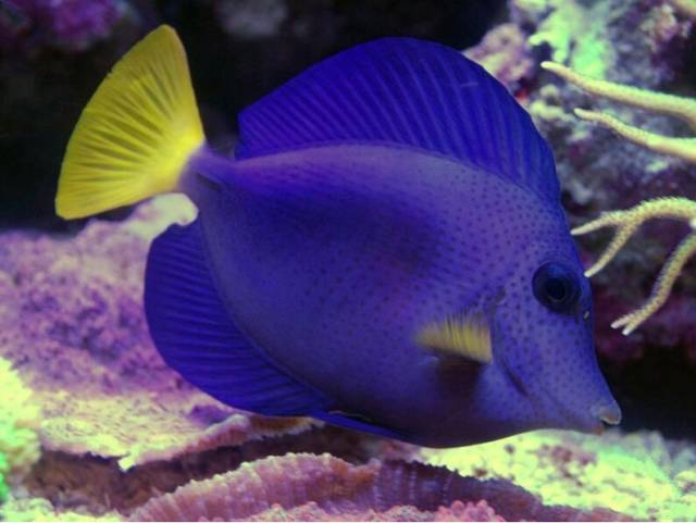 鉴定完毕！这一定是个有钱的主儿