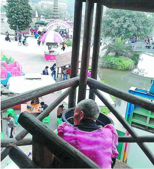 外卖小哥被大树砸中离世:若是岁月静好,谁愿以命相搏