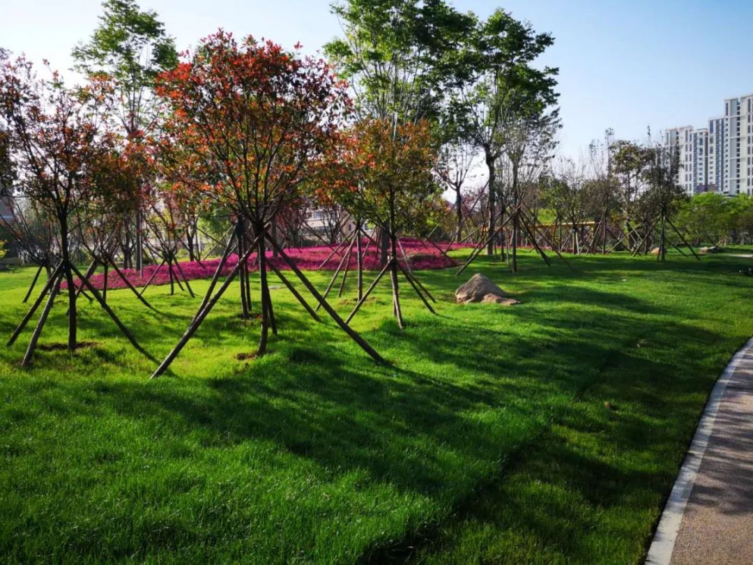 日照海曲公园开放时间,山东日照海边公园是否开放