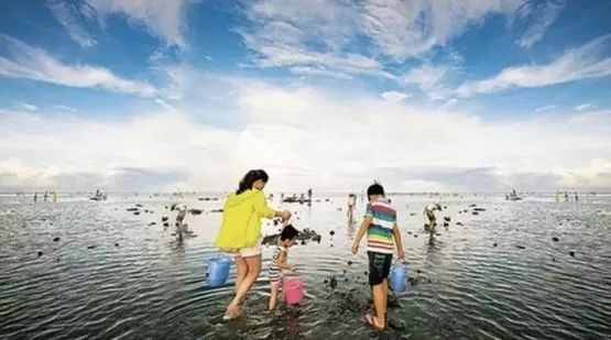 大连赶海全攻略金石滩,大连本地人最爱去的赶海海滩