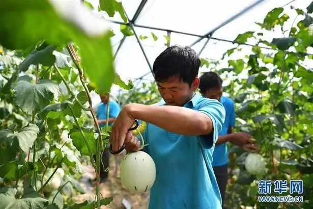 怎么治孩子的懒病,治懒病的最佳搞笑方法
