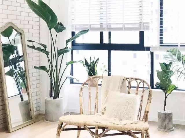 年轻人开始买藤编家具了？因为他们想回家养老了…