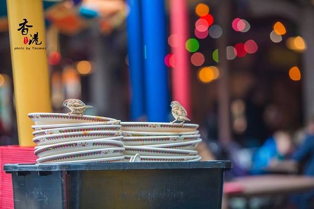 儿时tvb电视剧,香港电视剧小时候的回忆