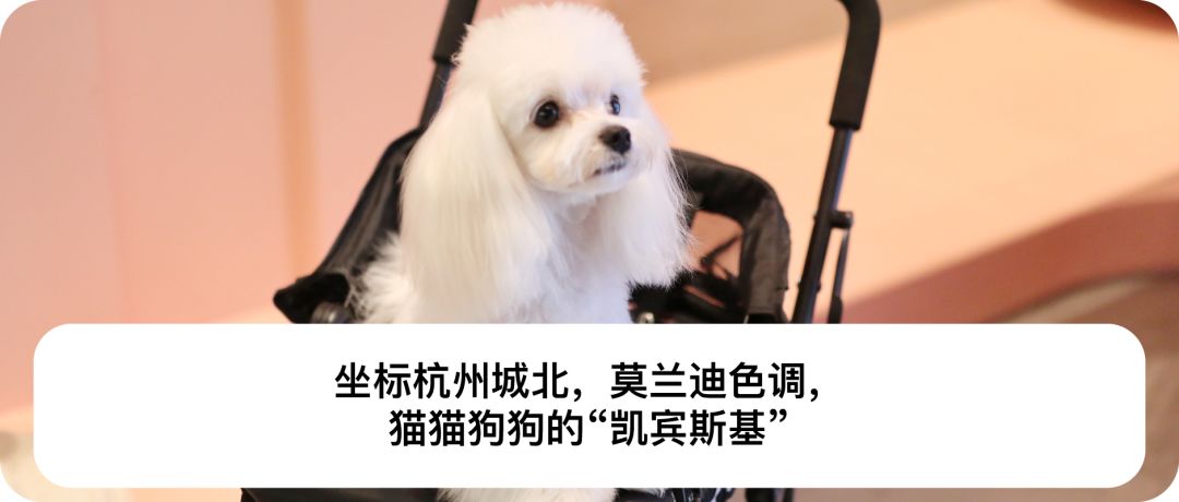 法式美甲魔镜粉多少钱 (施华洛世奇美睫)