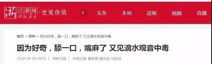 它神似芋头却被称“广东狼毒”,形似芋头的狼毒