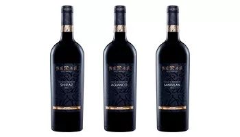 山西省食品品牌企业二十强故事之怡园：每一瓶葡萄酒都值得尊重