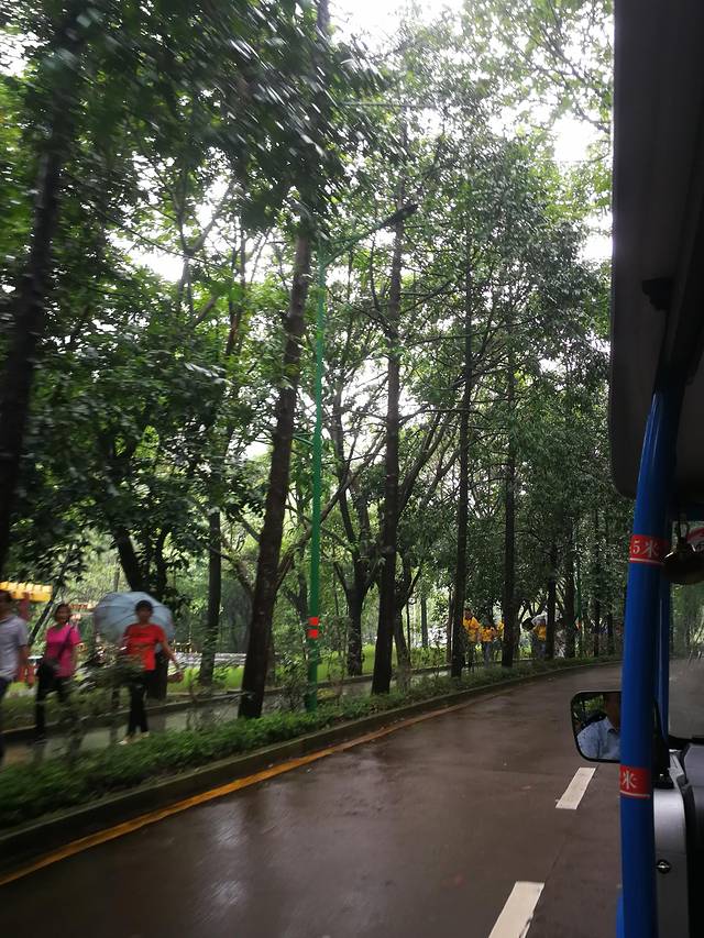 肇庆七星岩鼎湖山自助游,肇庆鼎湖山和七星岩相距多远