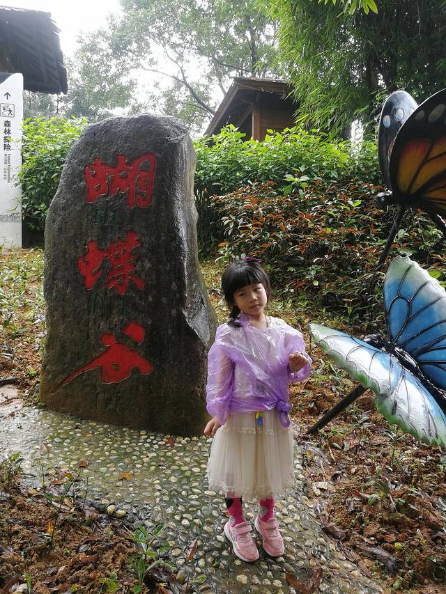 肇庆七星岩鼎湖山自助游,肇庆鼎湖山和七星岩相距多远